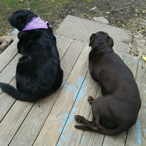 Meet your Posher, Connie